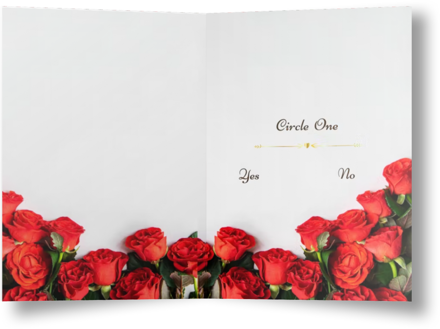 Will You Be My Valentine