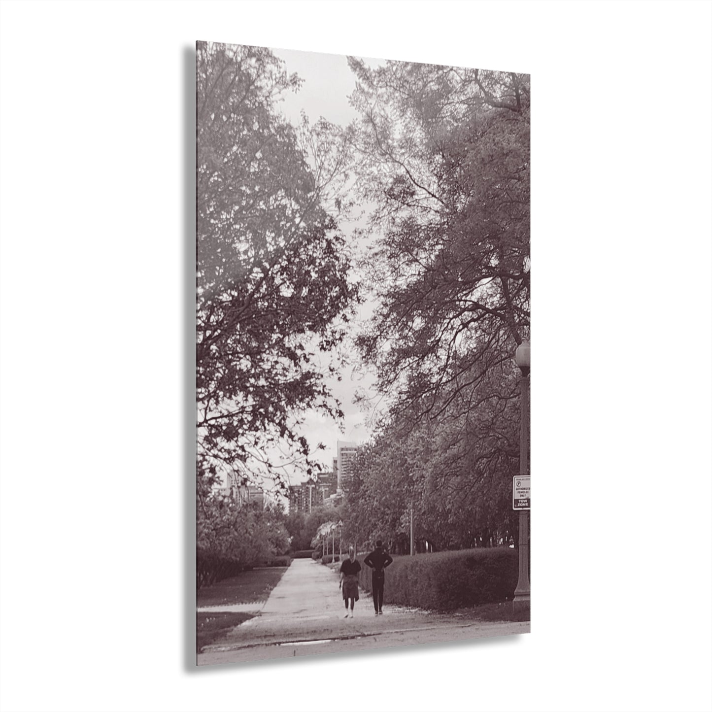 Acrylic Prints (French Cleat Hanging)