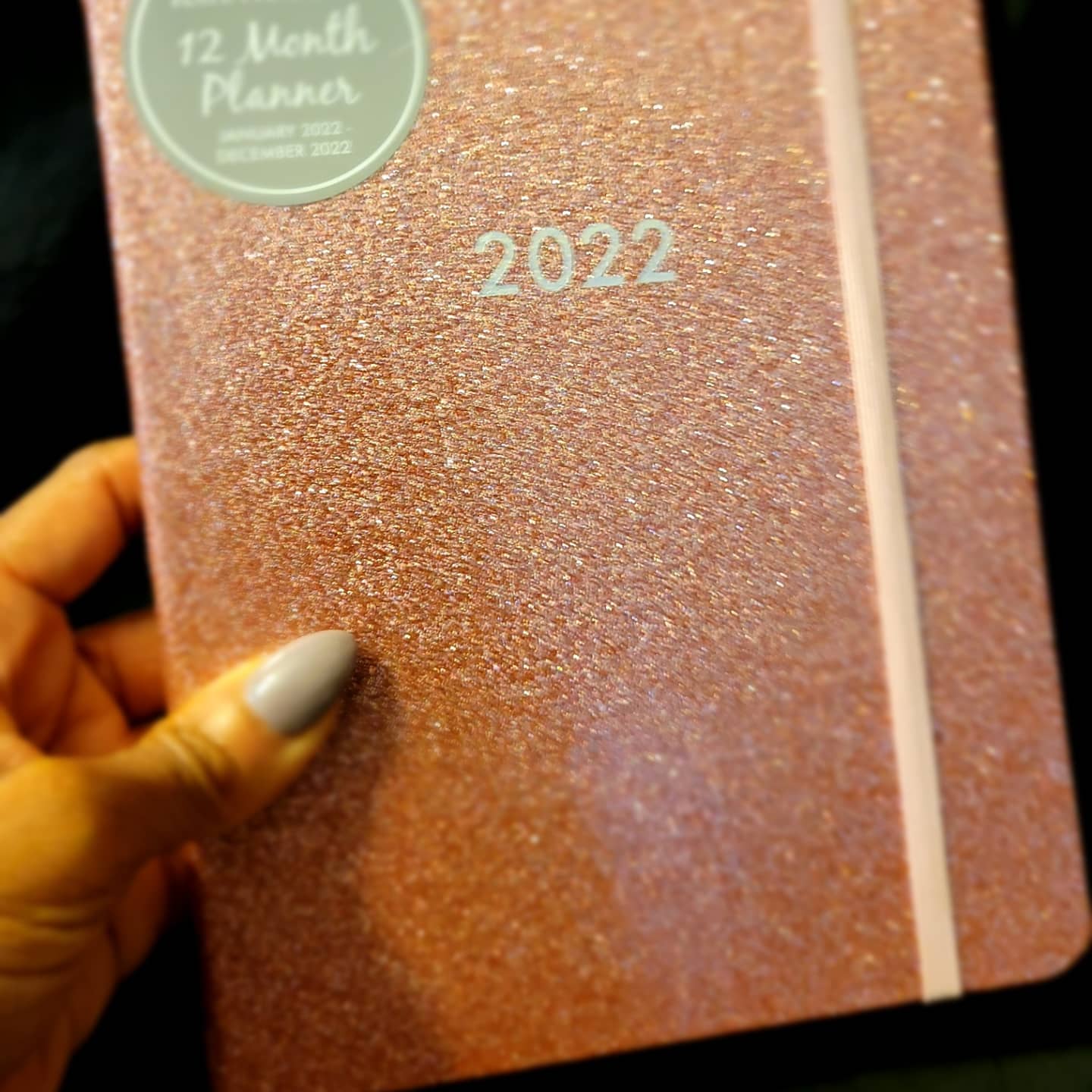 Shine Bright 2022 Planner (Pink)